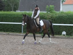 img_4616_web
